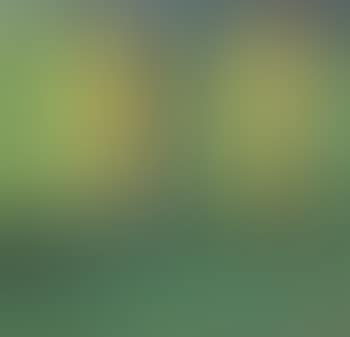Landscape - Houses in Forest (preview)