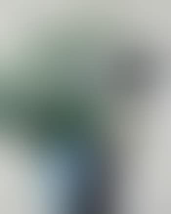 Grand bouquet au vase de Sicile (preview)