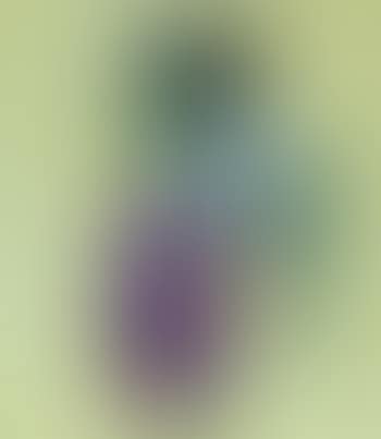 Fenster (preview)