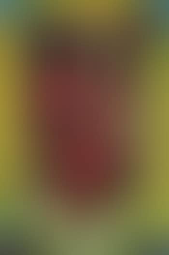 Christ (preview)