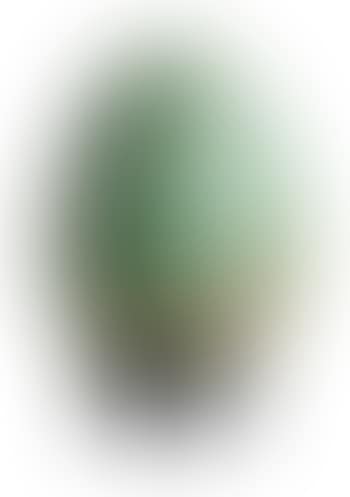 Ägg (preview)