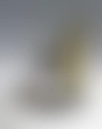 Le Licorne (preview)