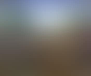 Paysage (preview)