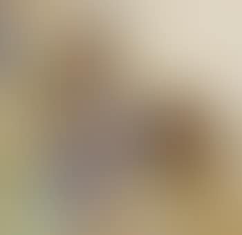 Family portrait (preview)