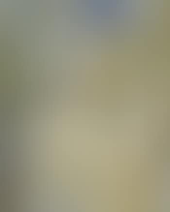 Hillside (Shoalhaven) (preview)