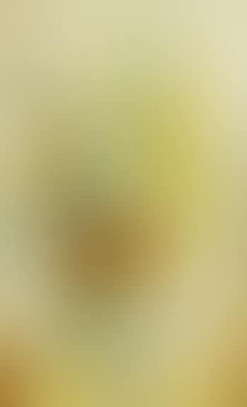 Les Lys Jaune (Yellow Lilies) (preview)