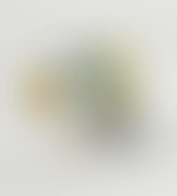 Alias PA-770 (preview)