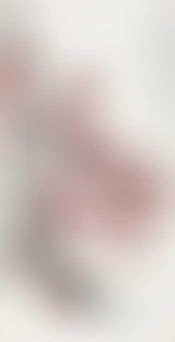 Red Plum (preview)