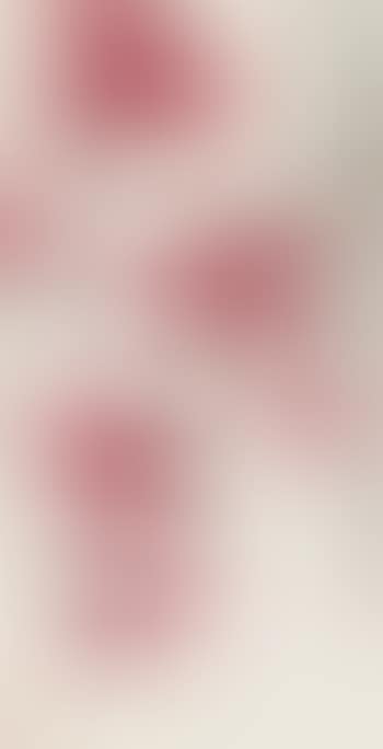 Red Leaves And Cicada (preview)