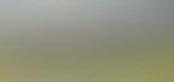 Newmarket, The Start - 2000 Guineas (preview)