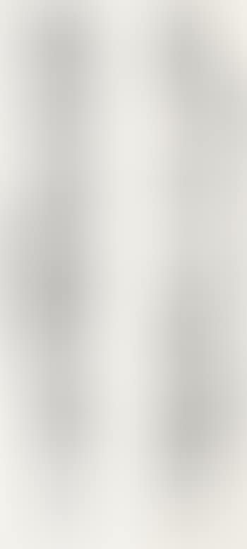 Seven-character Couplet In stone-drum script (preview)