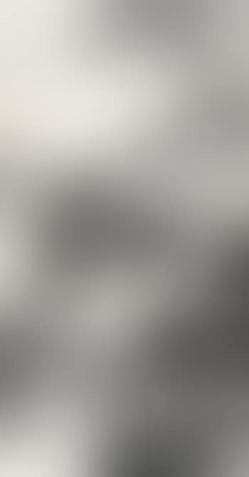 Landscape (preview)