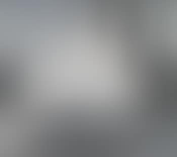 Egrets (preview)