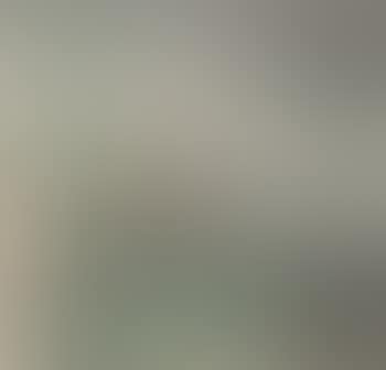 Birds And Green Bamboo (preview)