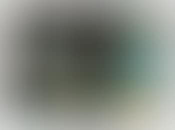 Extinguishing (preview)