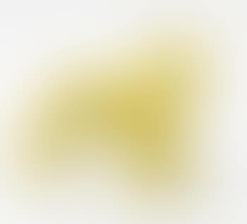 Cloned Yellow English Terrier Dog For The Olympics (preview)