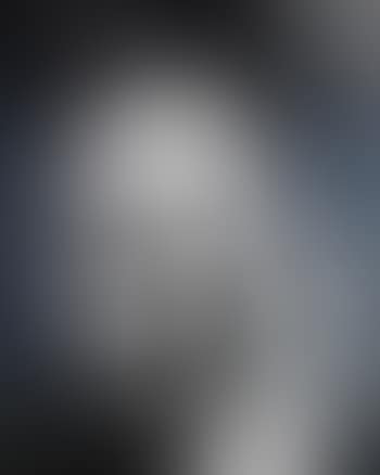 Houdini (Pictures Of Ink) (preview)