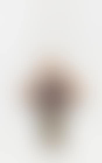 DAF de Balthysmees sprach: .... (Nabob zu Nabob = D.A.F. (Menschheit)) (preview)