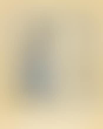 Untitled (Le Cocher De L'Atlas D'Hevelius) (preview)