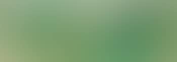 Untitled (Landscape) (preview)