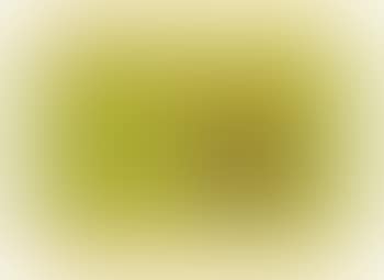 Untitled (Bird and Tree) (preview)