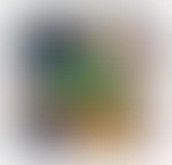 Courtship (preview)