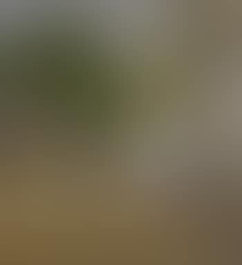 Paysage (Etude) (preview)