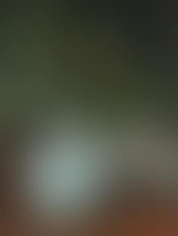 A Lady At Her Dressing Table With a Dog (preview)
