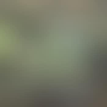 Spring Landscape (preview)