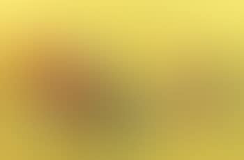 Abstraction (preview)