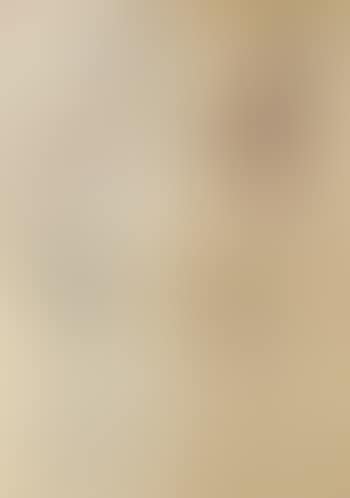 Writing; Lifting Up a Leg; Lady in Curled Hair; & Resting Nude (preview)