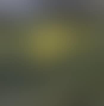 Autumn Landscape (preview)