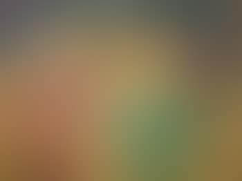 Reve (paysage nocturne) (Dream (nocturnal landscape)) (preview)