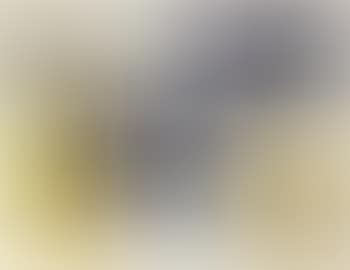 Untitled; Untitled; Untitled; Untitled; & Untitled (preview)
