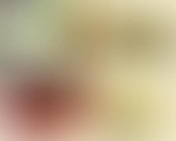 Untitled; Untitled; Untitled; Poligrafa XV Anys; Le monde de lart nest pas le monde du pardon (preview)