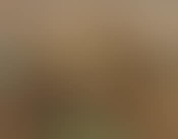 Paysage (preview)