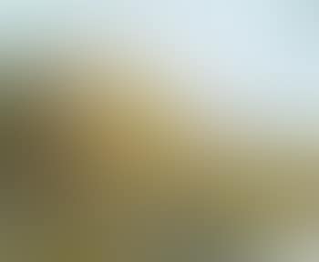 Liegender Akt (preview)