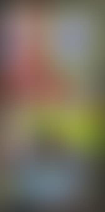 946 mountain climbing window (preview)