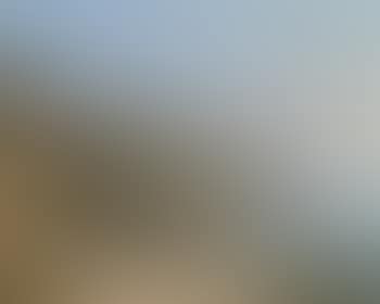 View of the Area Surrounding Naples (preview)