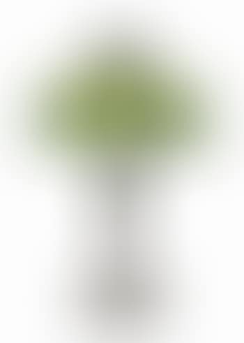 A Desk Lamp (preview)