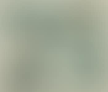 Familientragödie (preview)