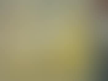 Transparent still life April 27-50 (preview)