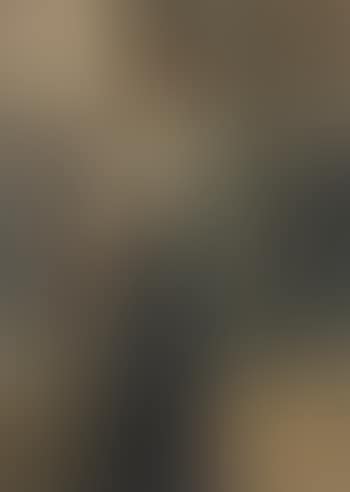 Dame in schwarzem Abendkleid mit grünem Schal (preview)
