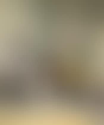 Femme nue, Intérieur (preview)