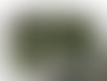 Grapevine Tea Screen (preview)