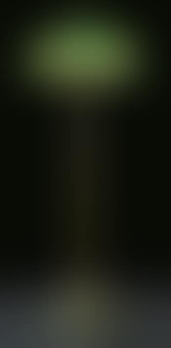 Bamboo Floor Lamp (preview)