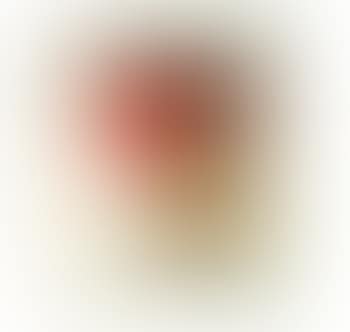 Campbell's soup (preview)