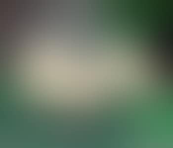 Galletto (preview)