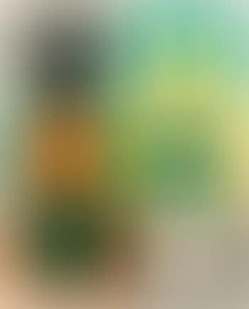 Violon (preview)