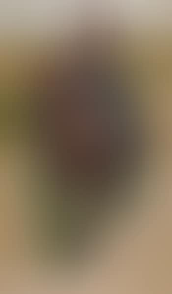A soldier (preview)